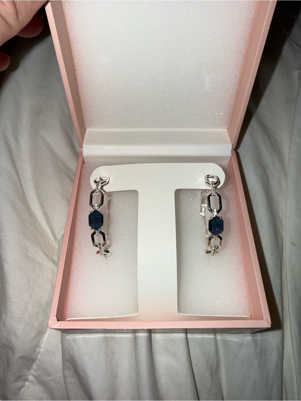 Silver Drop Earrings with Navy Blue Accent - Women Jewelry